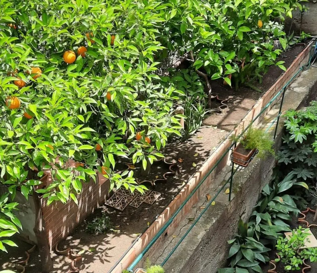 Nocleg ze śniadaniem B&B Greco Home Taormina
